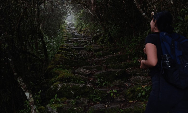 Camino a la Montaña de Machu Picchu